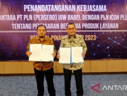 Terobosan Baru: PLN Icon Plus dan PLN Babel Menaikkan Kapasitas Internet hingga 100Gb di Bangka Belitung melalui Backbone Kabel Listrik Sumatera-Bangka