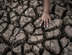 BPBD Bangka Belitung Mengidentifikasi Daerah Potensial Terdampak El Nino