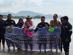 Pengisian Kembali Kepiting Bakau: Kolaborasi PT Timah dan BPSPL Tanjungpinang Mencegah Musnahnya Kehidupan Pesisir