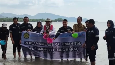 Pengisian Kembali Kepiting Bakau: Kolaborasi PT Timah dan BPSPL Tanjungpinang Mencegah Musnahnya Kehidupan Pesisir