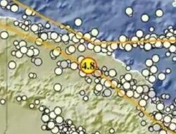 Gempa Magnitudo 4.8 Guncang Keerom, Papua: BMKG Sampaikan Info Terkini