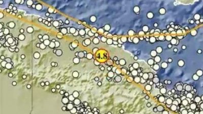 Gempa Magnitudo 4.8 Guncang Keerom, Papua: BMKG Sampaikan Info Terkini