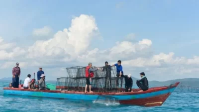 Penyelamatan Laut: PT Timah dan Nelayan Bangka Tenggelamkan Rumah Cumi untuk Peningkatan Hasil Tangkapan